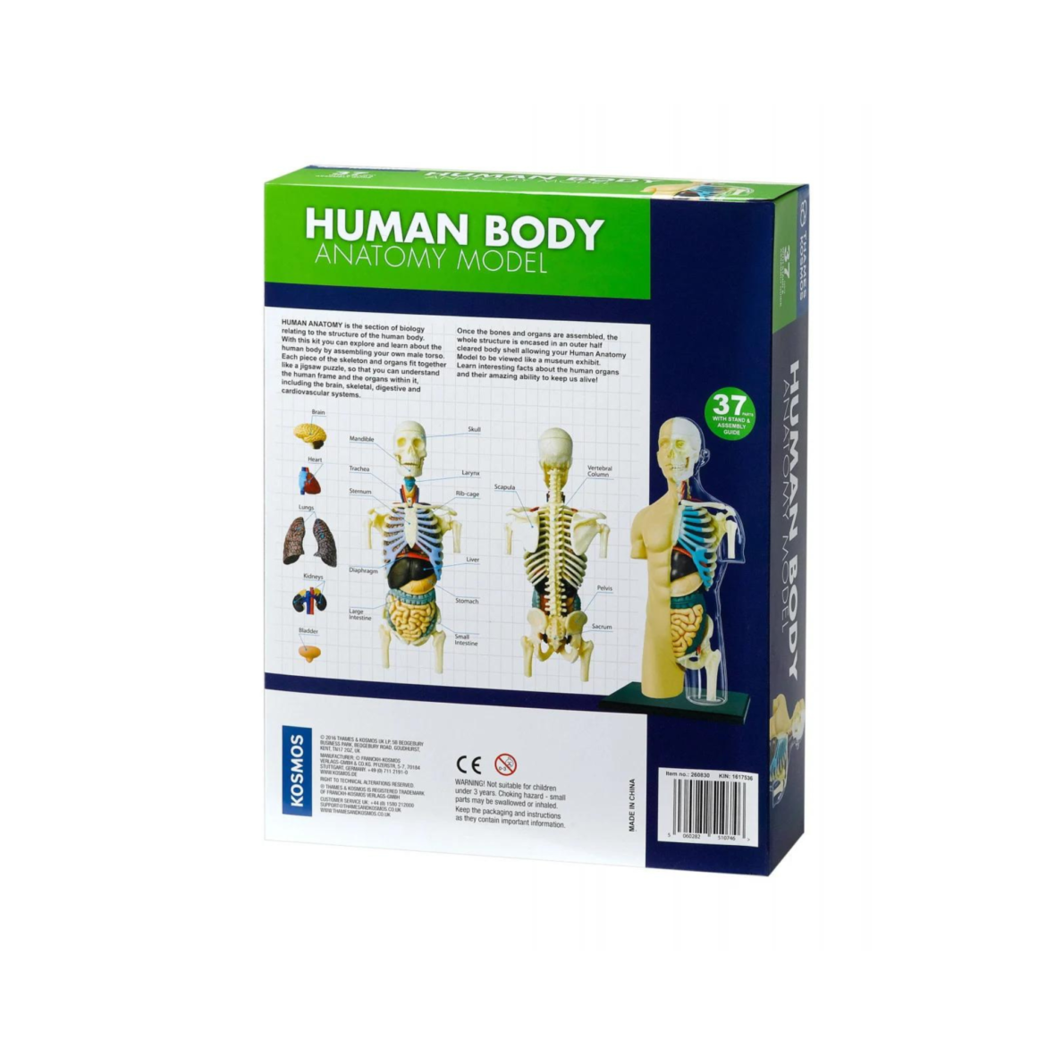 kit-stem-anatomia-corpului-uman1