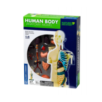 kit-stem-anatomia-corpului-uman4